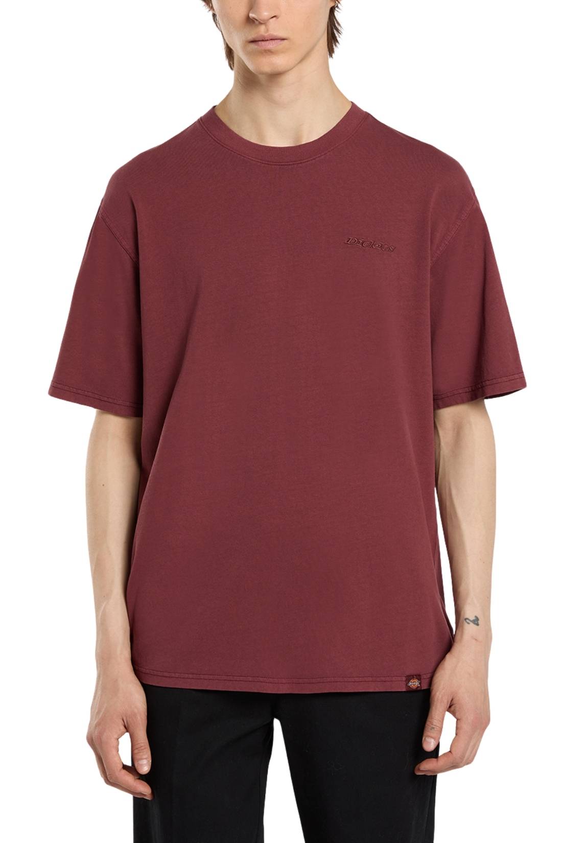 DICKIES – Herren T-Shirt Plentywood