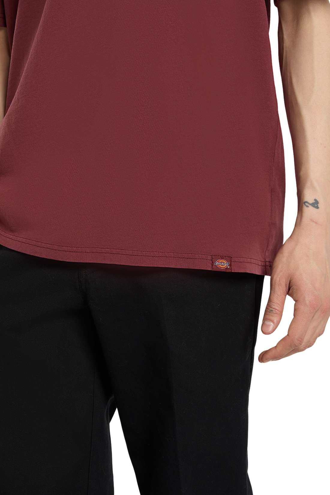DICKIES – Herren T-Shirt Plentywood