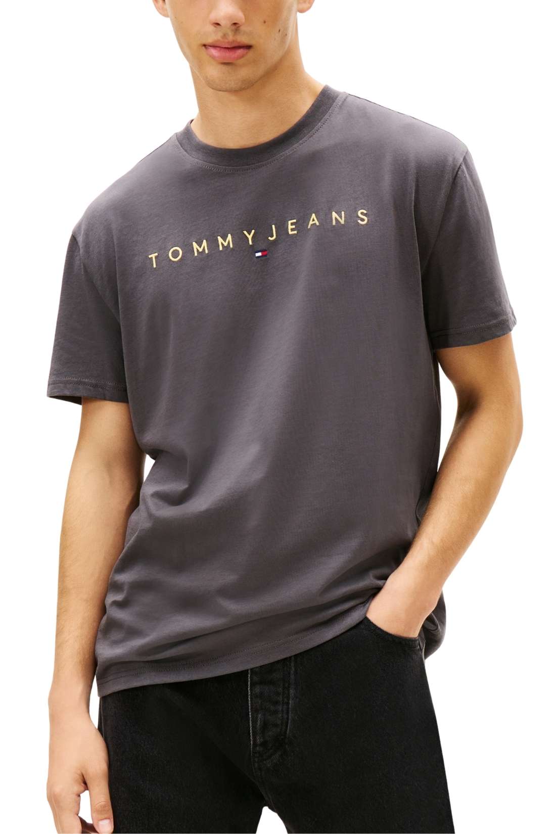 TOMMY JEANS – Herren-T-Shirt mit linearem Logo