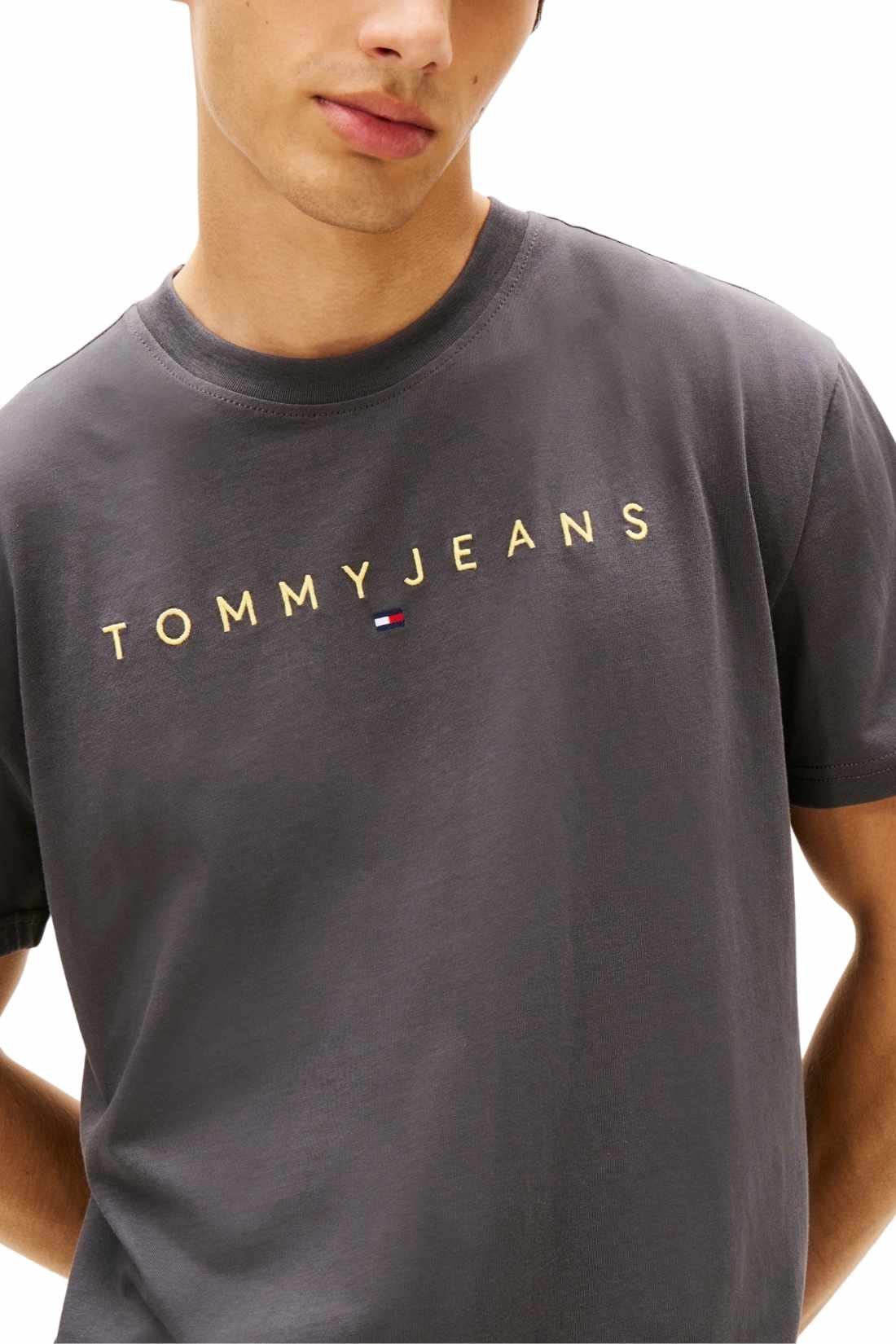 TOMMY JEANS – Herren-T-Shirt mit linearem Logo