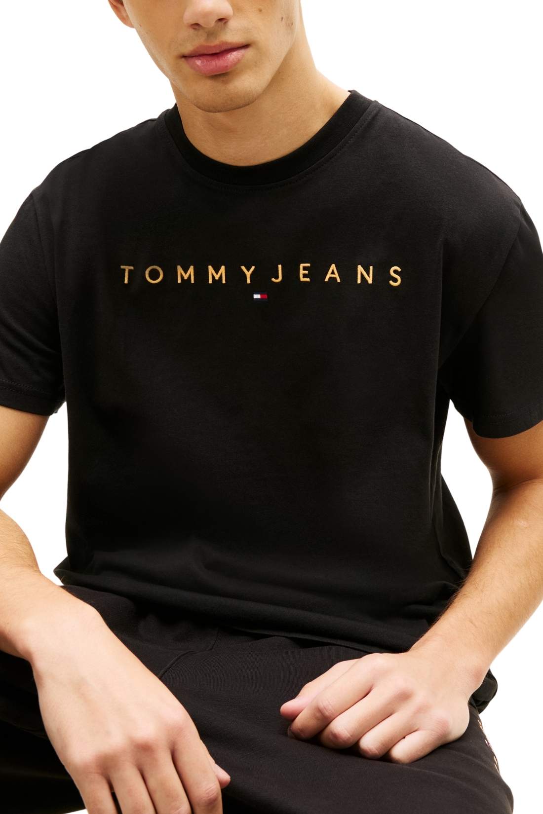 TOMMY JEANS – Herren-T-Shirt mit linearem Logo